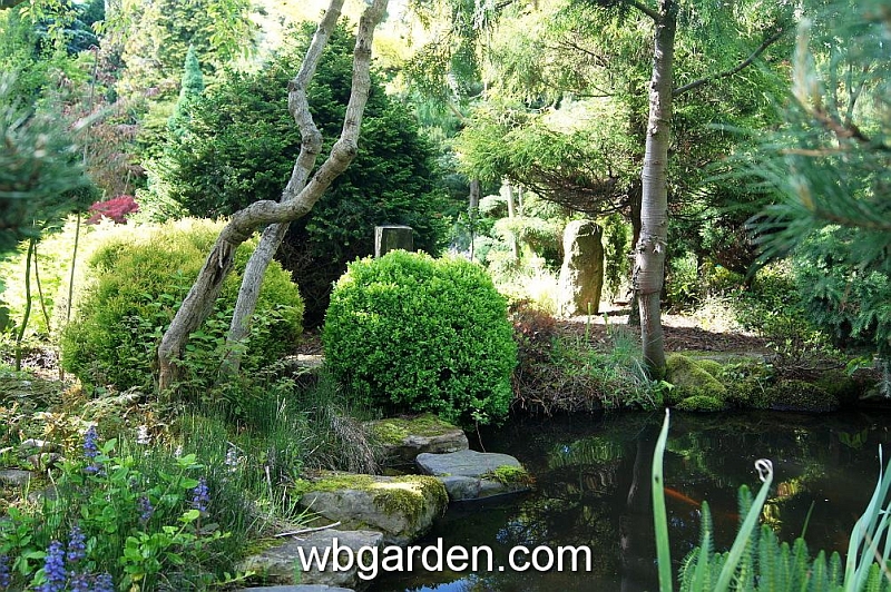 wbgarden spring 33.JPG